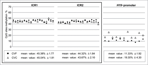 Figure 1. Quantitative CpG methylation analysis of ICR1, ICR2 and H19 in CVF and CVC from normal pregnancies. Symbols represent mean methylation percentage of at least two independent experiments for each sample. Black full squares symbolize fresh chorionic villi (CVF); empty triangles cultured chorionic villi (CVC). Mean percentage value is calculated on a different number of CpG sites analyzed at each locus. White boxes report mean methylation level ± SD calculated for all the analyzed CVF and CVC. Loci that maintain stable methylation values (ICR1 and ICR2) in CVF and CVC are grouped together in a full-line square.