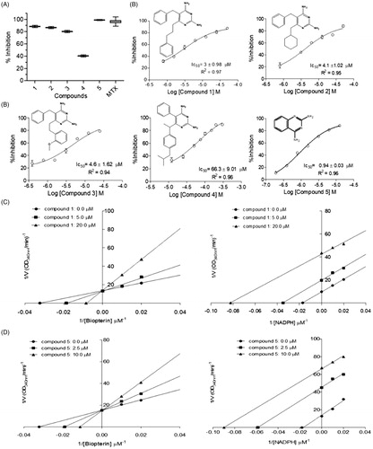 Figure 4. Kinetic inhibition assays results for LcPTR1. (A) Single concentration (50 μM) inhibition assay. (B) Dose-response curves for compounds 1–5 against LcPTR1. IC50 values calculated by non-linear regression in GraphPad Prism® 5.0 software. (C) Effect of compound 1 over NADPH and BPT kinetic constants (Kmapp and Vmaxapp). *Statistical difference of results were considered when p < .05 (Kruskal–Wallis ANOVA). (D) Effect of compound 5 over NADPH and BPT kinetic constants (Kmapp and Vmaxapp) *Statistical difference of results were considered when p < .05 (Kruskal–Wallis ANOVA).