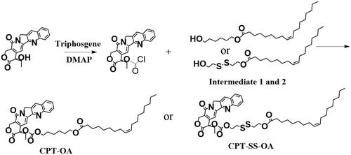 Scheme 1. Synthesis of CPT-OA and CPT-SS-OA.