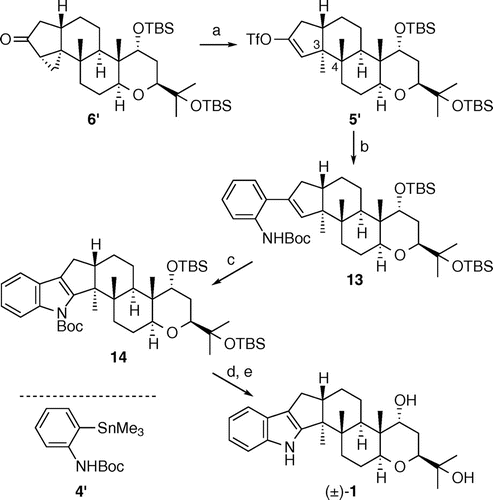 Scheme 3. Completion of the synthesis of (±)-1.Notes: Reagents and conditions: (a) Na/C10H8, t-BuOH, THF, −78 °C, 1 h, then isoprene, Comins’ reagent, HMPA, −78 °C to rt, 3 h; (b) 4′, Pd(PPh3)4, CuCl, LiCl, DMSO, CH2Cl2, 50 °C 2 h, 95% (two steps); (c) Pd(OCOCF3)2, NaOAc, DMSO, 60 °C, 28 h, 91%; (d) TBAF, THF, 55 °C, 27 h; and (e) SiO2, 100 °C, 4 h, ca. 12 kPa, 63% (two steps).