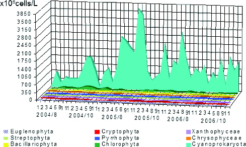 Figure 4. Dynamics of phytoplankton numbers of different taxonomic groups in sampling sites in Vaya lake (2004–2006).