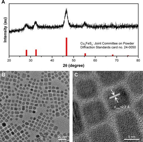 Figure 1 (A) XRD, (B) TEM, and (C) HR-TEM characterization of the obtained Cu5FeS4 cube nanoparticles.Abbreviation: XRD, X-ray diffraction.