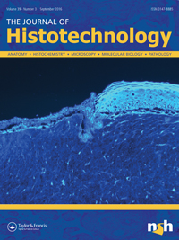 Cover image for Journal of Histotechnology, Volume 39, Issue 3, 2016