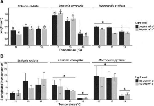 Figure 1. Bar plots of (a) sporophyte length and (b) sporophyte density on the seeded twine. Letters above the bars indicate significant differences based on the SNK-test (p < 0.05). Error bars show SEM, with n = 3.