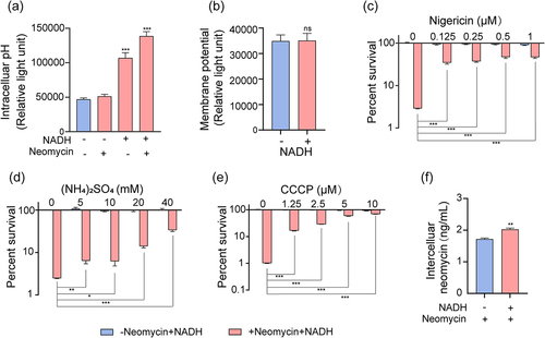 Figure 5. NADH increased PMF and intracellular neomycin content. (a) Changes in intercelluar pH with effect of neomycin or NADH in ATCC15947. (b) Membrane potential changes after treating with NADH. (c)–(d) the concentration effect of nigericin/(NH4)2SO4/CCCP on the bactericidal efficacy of 3 mM NADH combined with 30 μg/mL neomycin. (f) Intracellular neomycin content was detected in presence of NADH and neomycin. Data are presented as mean ± SEM (n = 3 biological replicates). *p < 0.05.**p < 0.01. ***p < 0.001.