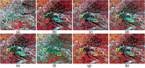 Figure 10. Predicted data of the compared models for the LGC data on December 12, 2004. (a) Observed Landsat image on November 26, 2004. (b) Observed MODIS image on December 12, 2004. (c) Observed Landsat image on December 12, 2004, i.e. Ground Truth. (d) STARFM. (e) FSDAF. (f) EDCSTFN. (g) GAN-STFM. (h) EDRGAN-STF.