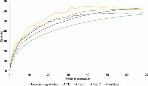 Figura 2. Curvas de acumulación de especies de murciélagos de acuerdo con la abundancia de las especies en el Caribe de Honduras y Nicaragua