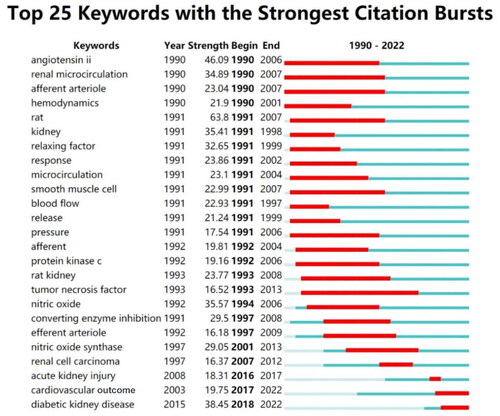 Figure 7. Top 25 keywords with the strongest citation bursts in renal microcirculation research from 1990 to 2022. The red line represents a high frequency of a keyword during the period, while the blue lines denote the time interval.