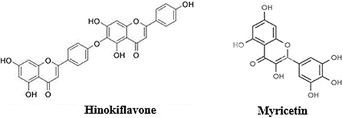 Figure 11 Molecular structure of hinokiflavone and myricetin.