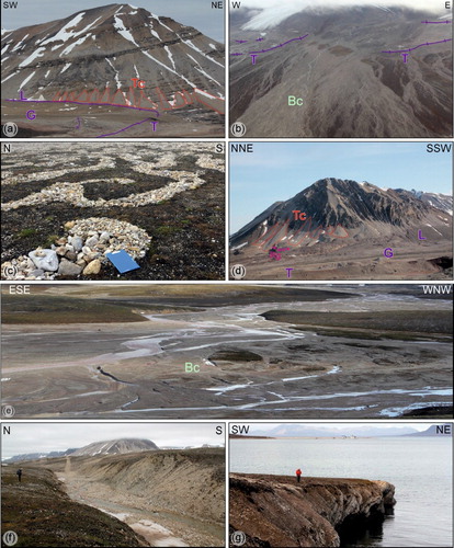 Figure 4. Quaternary deposits and landforms of the Ny-Ålesund area. (a) Terminal (T), lateral (L), and ground (G) moraines of Vestre Brøggerbreen; in the background talus cones (Tc) on the slope of Zeteligfjellet; (b) Terminal moraine (T) of the Vestre and Midtre Lovénbreen and braided channel (Bc) of the glacial outwash (Wexelva); (c) Periglacial patterned ground on the Bayelva area; (d) Talus cones (Tc) affecting the structural scarps and ridges on the slopes of Zeppelinfjellet, at the base of the slope a rockglacier (Rg) and in the foreground the moraine (L, lateral; G, ground; T, terminal) system of the Austre Brøggerbreen; (e) Bayelva braided channel (Bc) and fluvial deposits in the Vestre Brøggerbreen and Austre Brøggerbreen glacier outwash; (f) Fluvial erosion scarps affecting the bedrock northern tributary of Bayelva; (g) Coastal cliff affecting the Kolhamna coast (airport area).