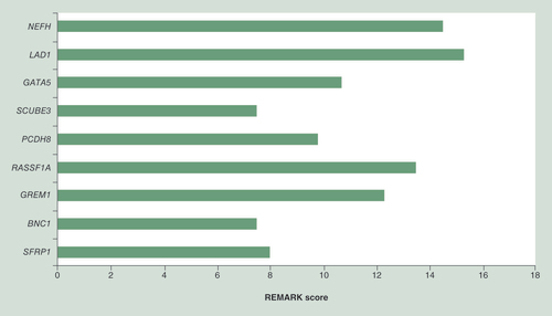 Figure 5. Graph showing average REMARK score per promising prognostic methylation marker.