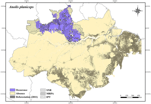 Figure 12. Occurrence area and records of Anolis planiceps in the Brazilian Amazonia, showing the overlap with protected and deforested areas.