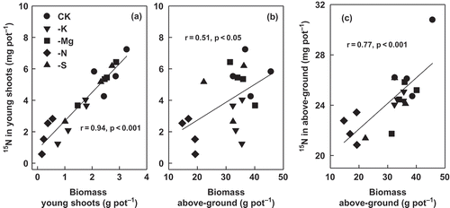 Figure 5 Relationship between the biomass production of (a) young shoots and (b) above-ground parts with isotope nitrogen-15 (15N) amounts in (a, b) young shoots and (c) above-ground parts of plants supplied with variable levels of nutrients (pot experiment).