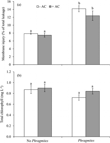 Figure 7. Effects of root exudates of P. australis on (a) membrane injury of root (% of total leakage) and (b) total chlorophyll (mg L−1) in lettuce grown alone, or together with P. australis either with or without activated carbon (AC) in the soil. Values are mean±standard error (n=3). Means with different letters were significant different in pairwise comparison (P>0.05).