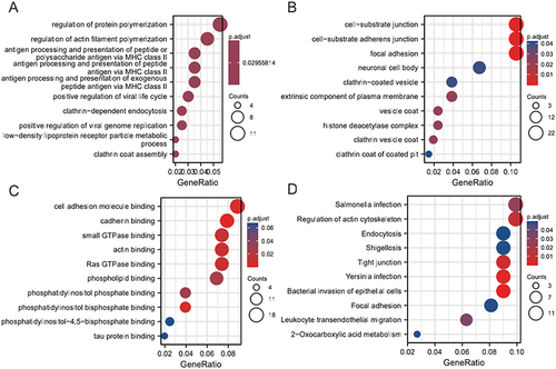 Figure 4 GO and KEGG enrichment analysis of DEM target genes. (A) Biological processes enriched (BPs) in the GSE44731 dataset; (B) Cell compositions enriched in GSE44731 dataset (CCs); (C) Molecular functions enriched in the GSE44731 dataset (MFs); (D) Signaling pathways enriched in the GSE44731 dataset (KEGG).