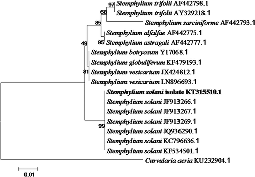 Fig. 2 Phylogenetic tree constructed with the ITS rDNA sequence of Stemphylium solani isolates and related species, including the isolate in this study (isolate KT315510.1 in bold), and the sequences of 15 isolates retrieved from GenBank. Bootstrap values resulting from 1000 replicates are shown at the branch points.