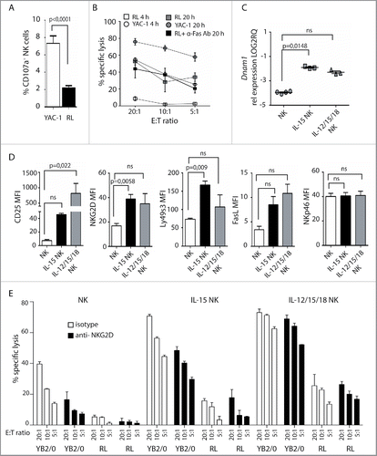 Figure 4. Cytokine pre-activation upregulates activating receptors and promotes NK cell lysis of RL. (A) Degranulation of primary enriched splenic NK cells in response to YAC-1 or RL. Values represent data from three independent experiments (n = 9) ± SEM. (B) Specific lysis of YAC-1 or RL target cells measured by 4 or 20 h 51Cr release assay using enriched, splenic NK cells. Values represent the average of triplicates of one representative experiment out of four independent experiments. (C) qRT-PCR analysis of Dnam1 expression in primary NK cells (n = 4), NK cells pre-cultured overnight in medium with IL-15 (n = 3), or in medium with IL-15, IL12, and IL-18 (n = 3). Statistical significance was calculated using the Kruskal–Wallis test. (D) MFI analysis of CD25, NKG2D, Ly49s3, FasL, and NKp46 on NK cells after overnight culture in medium alone (n = 3), with IL-15 alone (n = 3), or with IL-15, IL12, and IL-18 (n = 3). Data represent the average of three independent experiments ± SEM. Statistical significance was calculated using the non-parametrical Mann–Whitney test. (E) Specific lysis of YB2/0 or RL measured by 51Cr release assay with enriched splenic NK cells pre-cultured overnight in medium alone, with IL-15 alone, or with IL-15, IL12, and IL-18. NKG2D antibody or isotype control was pre-incubated with NK cells 30 min before assay. Data represent average of triplicates of one representative experiment of three independent experiments.