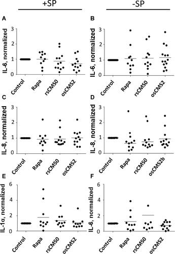 Figure 4 Normalized values of the inflammatory cytokine IL-6 (A and B), IL-8 (C and D), and IL-1α (E and F) extracted from the epidermis of skin pre-treated with trypsin (+ SP, A, C and E) or with saline (−SP, B, D and F) and incubated with the investigated Rapa formulations (24h, applied Rapa doses: 10 µg/cm2).