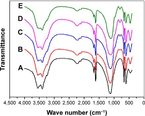 Figure 2 Fourier-transform infrared spectra of samples.Notes: (A) Calcium sulfate cement (CSC); (B) CSC-5S; (C) CSC-10S; (D) CSC-15S; (E) CSC-20S.