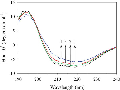 Figure 6. Changes of far-UV CD spectra of OVA induced by PEF. 1: untreated OVA; 2: 35 kV/cm for 60 µs; 3: 35 kV/cm for 120 µs; 4: 35 kV/cm for 180 µs. The concentration of OVA samples was 0.1 mg/mL.