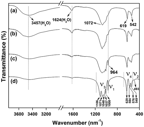 Figure 8. FTIR spectra for sample S5 (a) and the products calcined from S5 at 500 (b), 900 (c), and 1200 °C (d).