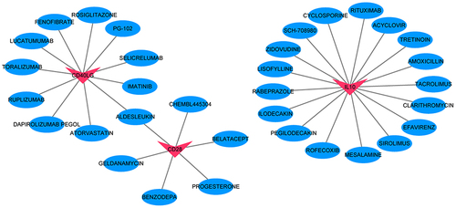 Figure 11 Regulatory networks between drugs and proteins encoded by IL7R, IL10, CD40LG, CD28 and LCN2. Red and blue color represents protein and drug, respectively.