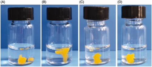 Figure 11. Formation of in situ hydrogel of RADA16-I and RVDV16-I-EM suspension at PBS and 0.9% NaCl solution; (A) RADA16-EM suspension in PBS; (B) RADA16-I-EM suspension in 0.9% NaCl; (C) RVDV16-I-EM suspension in PBS; (D) RVDV16-I-EM suspension in 0.9% NaCl; [EM] = 1.0 mg/mL, [RADA16-I] = [RVDV16-I] = 5.0 mg/mL.