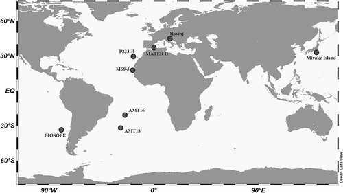 Fig. 5. Map showing the locations from which Palusphaera specimens were obtained