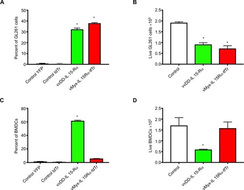 Figure 3 Differential tropism of two viruses for glioma cells and bone marrow-derived dendritic cells.