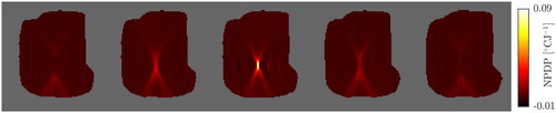 Figure 8. From left to right: the estimated NPDP in slices 2–6 for scenario A1.