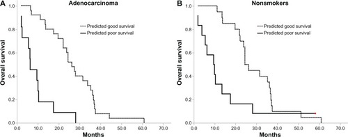 Figure 4 Kaplan–Meier survival curves for overall survival in adenocarcinoma and nonsmoker subgroups.