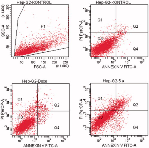 Figure 10. The flow cytometric analysis diagram of compound 5a and doxorubicin for HepG2 cell line.