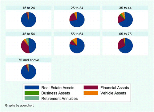 Figure 5: Portfolio of assets by age cohort (weighted)