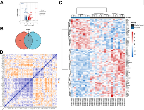 Figure 2 Identification of differentially expressed ferroptosis-related genes. Volcano plot of DEGs in the GSE79962 dataset (FDR < 0.05 and |log2FC| ≥ 0.25). (B) Venn diagram showing the overlap of genes between DEGs in the GSE79962 dataset and FRGs from FerrDB. (C) Clustered heatmap of DEFRGs in the GSE79962 dataset. (D) Correlation heatmap of DEFRGs in the septic hearts from the GSE79962 dataset. Ncontrol = 11, Nseptic heart = 20.