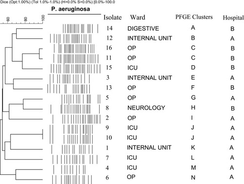 Figure 1 Genomic analysis of the isolates using PFGE. Dendrogram was constructed based on UPGMA by using Dice coefficient with a 1.0% band position tolerance. The scale above the dendrogram shows percentage of similarity and the dotted line indicates 85% similarity.Abbreviations: OP, outpatient; ICU, intensive care unit.