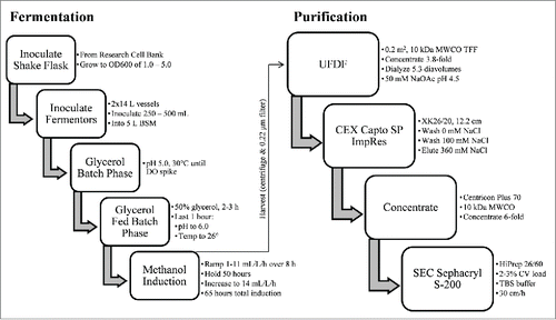 Figure 3. Schematic of LdNH36-dg2 manufacturing compatible fermentation and purification process.