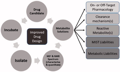 Figure 2. Strategic approach using structural elucidation to enable chemistry design/SAR development.