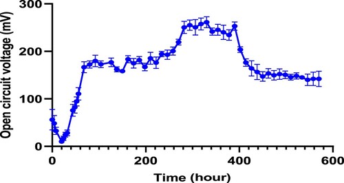 Figure 9. Effect on open circuit voltage observed on MFC with continuous addition of substrate at 24 h intervals of time.