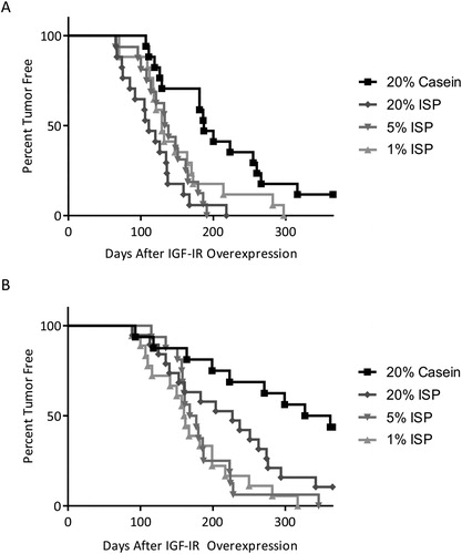 Figure 1. Tumor-free curves of MTB-IGFIR transgenic mice with lifetime exposure 20% Casein (▪), 20% ISP (◆), 5% ISP (▼) or 1% ISP (▲) when overexpression of the IGF-IR transgene was initiated at PND45 (A) or PND100 (B). Mice fed the 20% casein diet had significantly different (p < 0.05) tumor free curves from the 20% ISP and 5% ISP diets when the IGF-IR transgene was induced at PND45 (A) and the 5% ISP and 1% ISP diets when the IGF-IR transgene was induced at PND100 (B). There were no significant differences in tumor onset when comparing the different ISP diets.