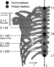 Fig. 2. Impact levels and virtual markers used to calculate the chest deflection. The coordinate system shown corresponds to the seat coordinate system.