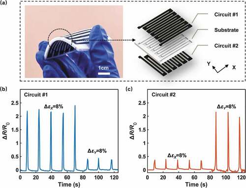 Figure 7. Application of the flexible biaxial strain sensor. (a) Illustration of the biaxial strain sensor consisting of two individual circuits oriented precisely 90° apart. The circuits are printed with CB/TPU filaments and the substrate is printed with commercial TPU filaments. (b)-(c) ΔR/R0 plots of two sensing circuits for two types of deformation.