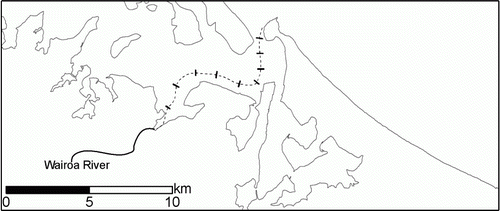 Figure 11  The dashed line represents the vertical profile extracted from model output that begins at Tauranga Harbour southern basin entrance and ends at Wairoa River mouth and runs along the main channel. The orthogonal black lines mark each 1000 m.