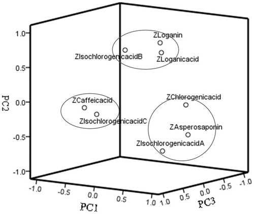 Figure 3. Principal component analysis (PCA) of Dipsaci Radix.