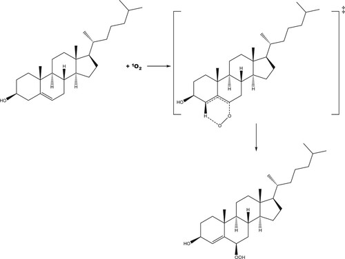 Scheme 2. Proposed reaction scheme for the production of R-6-hydroperoxycholesterol.