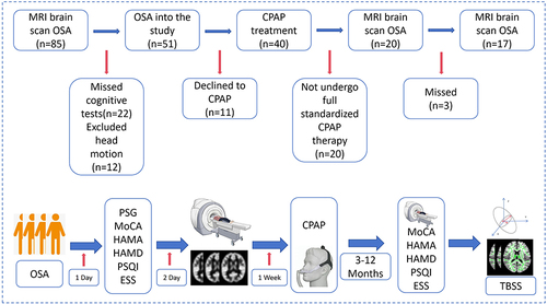 Figure 1 Schematic diagram of OSA patient collection in this study.