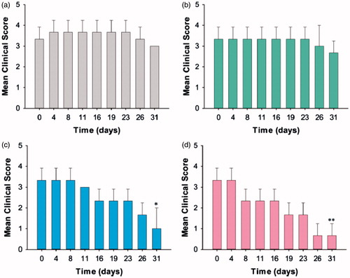 Figure 3. Mean clinical scores for arthritis paws treated with (a) PBS, (b) HA-AuNPs, (c) TCZ and (d) HA-AuNPs/TCZ complex (Reproduced with permission from American Chemical Society [Citation39]).