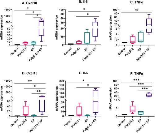 Figure 2. Regulation of pro-inflammatory mRNAs by poly(I:C) transfection. Relative mRNA levels (A) CXCL10, (B) IL-6 and (C) TNFα mRNA in mammary carcinoma cells; (D) CXCL10, (E) IL-6, and (F) TNFα mRNA in fibrosarcoma cells. (***p < 0.001, **p < 0.01, * p < 0.05 compared to control, n = 3–5).