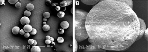 Figure 3 Scanning electron micrographs of microspheres prepared using PLGA (3A50/50) (A), and PLGA (3A50/50)/HPLA (B). W1, 5% w/w BSA and dextran (BSA to dextran ratio 6 mg:6 mg) water solution; Oh, DEG/G = 4 (5.5 mL containing 0.5 mL of 1% PVA and 5% NaCl); W2, 5% NaCl 1000 mL; oil phase 10%, PLGA (3A50/50)/HPLA = 40/80, 1200 mg of dichloromethane solvent.Abbreviations: BSA, bovine serum albumin; PLGA, poly(lactic-co-glycolic acid); HPLA, high viscosity polylactide (molecular weight 83,000); PVA, poly(vinyl alcohol).