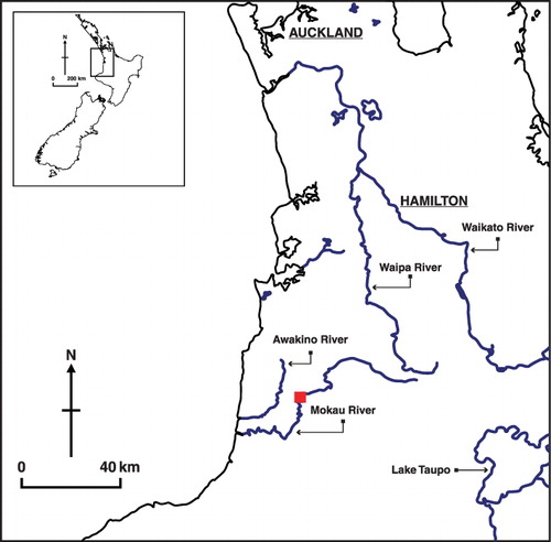 Figure 1 Location of the Mokau River, North Island, New Zealand. The star indicates the location of Totoro Bridge flow gauging station.