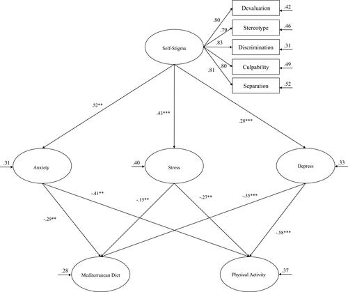 Figure 1 Hypothesized model. All parameters are standardized and are statistically significant.